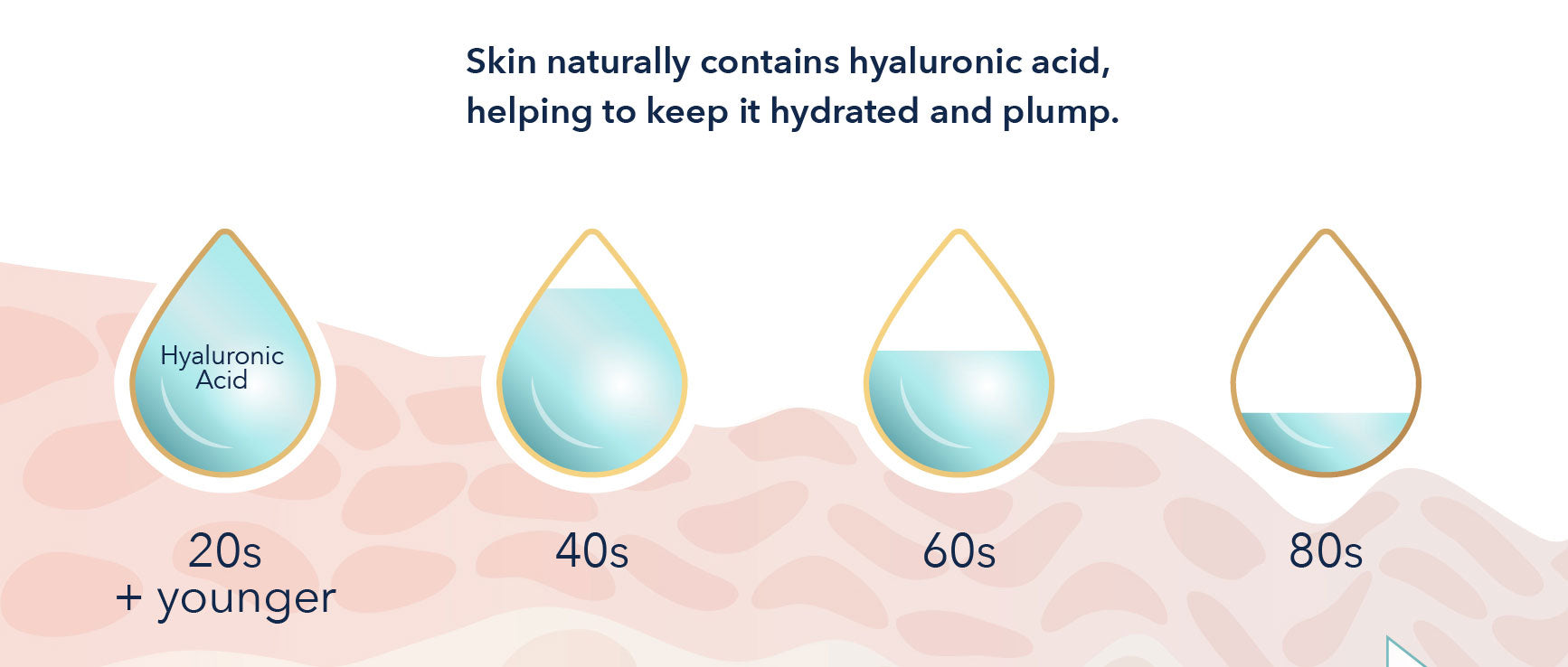 Skin naturally contains hyaluronic acid, helping to keep it hydrated and plump. Diagram showing that 20s and younger people have the maximum amount of hyaluronic acid, and by your 80s, hyaluronic acid is nearly depleted.