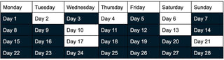 A weekly calendar grid showing days Monday through Sunday from Day 1 to Day 28, with alternating white and dark navy cells.
