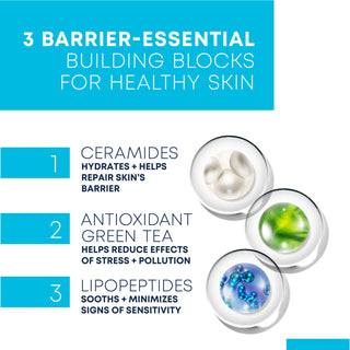 Infographic of 3 barrier-essential building blocks for health skin. Ceramides hydrate + help repair skin's barrier. Antioxidant green tea helps reduce effects of stress + pollution,. Lipopeptides sooth + minimizes signs of sensitivity.