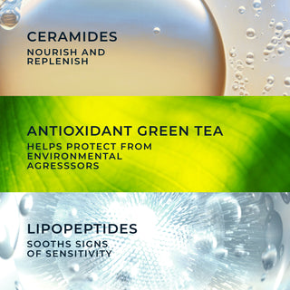 ceramides nourish and replenish
antioxidant green tea help protect from environmental agressors
lipopeptides sooths signs of sensitivity