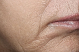 Consumer side of mouth before