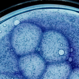Bio-Blue Peptide Ingredient Asset