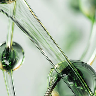 Phyto Protein Ingredient